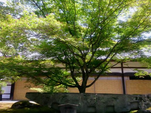 福岡の不動産仲介が導く土地取引成功の秘訣